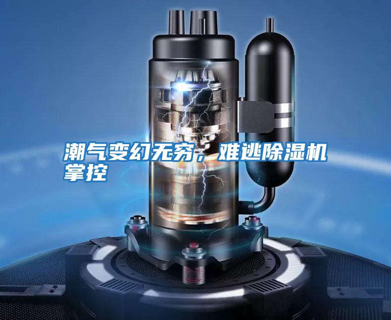 潮氣變幻無(wú)窮,難逃除濕機(jī)掌控