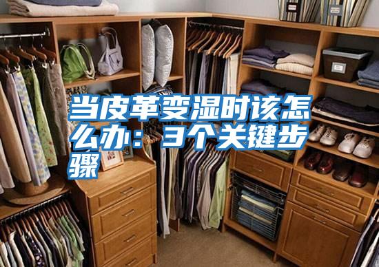 當皮革變濕時該怎么辦:3個關鍵步驟