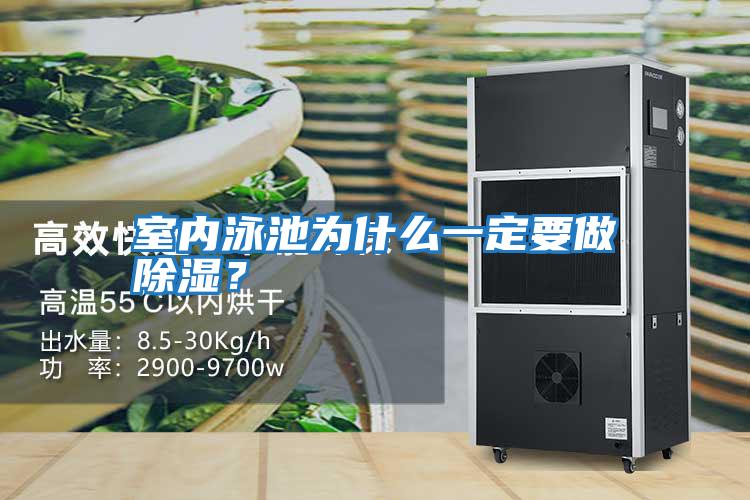 室內(nèi)泳池為什么一定要做除濕?