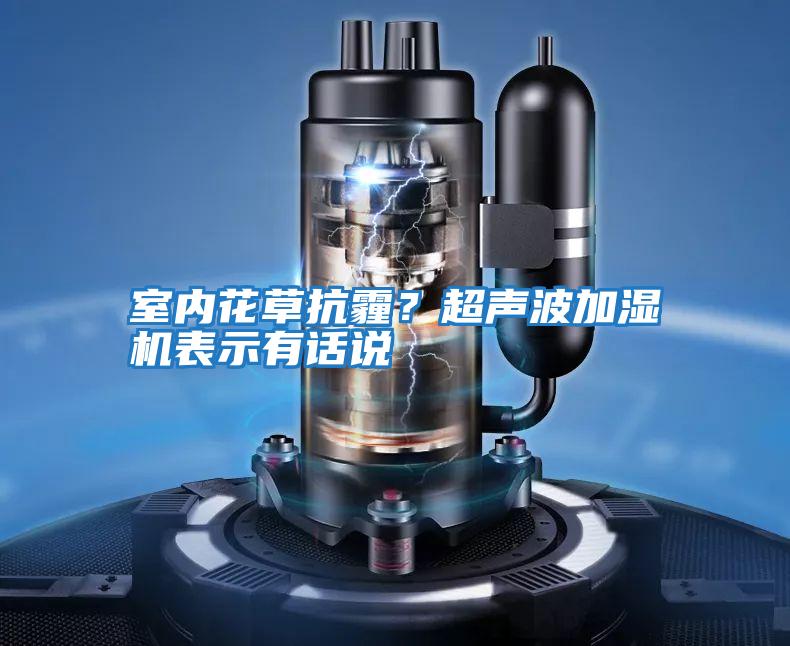 室內花草抗霾？超聲波加濕機表示有話說