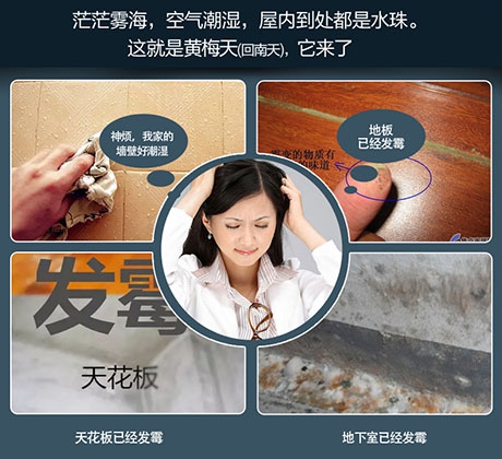 醫藥產品的倉儲環境對溫濕度要求高，工業除濕機提供解決方案