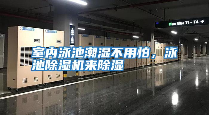 室內泳池潮濕不用怕，泳池除濕機來除濕