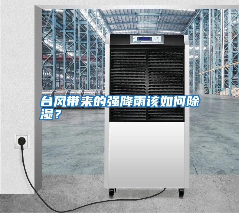 臺(tái)風(fēng)帶來的強(qiáng)降雨該如何除濕？