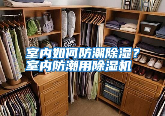 室內(nèi)如何防潮除濕?室內(nèi)防潮用除濕機(jī)