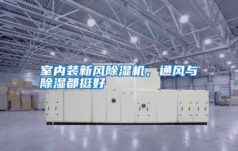 室內裝新風除濕機，通風與除濕都挺好