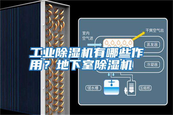工業除濕機有哪些作用？地下室除濕機