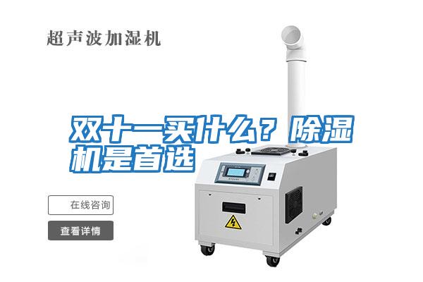 雙十一買什么？除濕機(jī)是首選