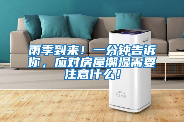 雨季到來!一分鐘告訴你,應對房屋潮濕需要注意什么!