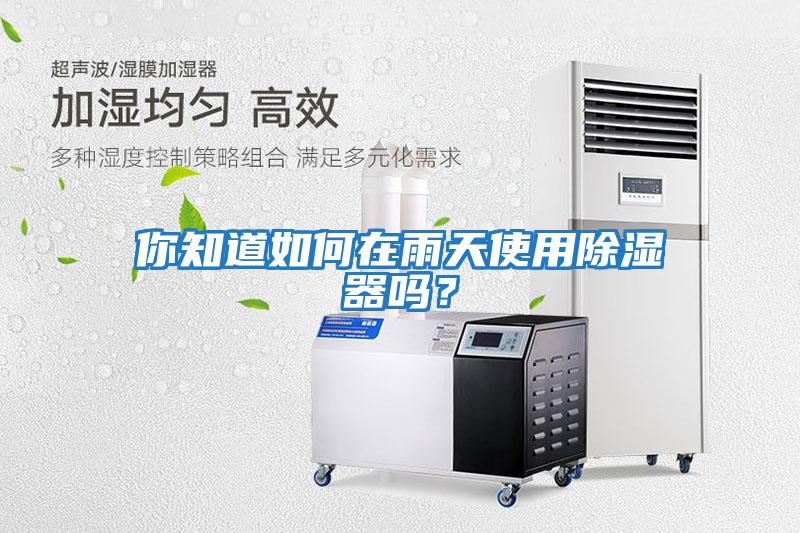 你知道如何在雨天使用除濕器嗎?