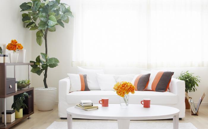 母嬰雙十一除濕機廣受追捧，買哪個好？