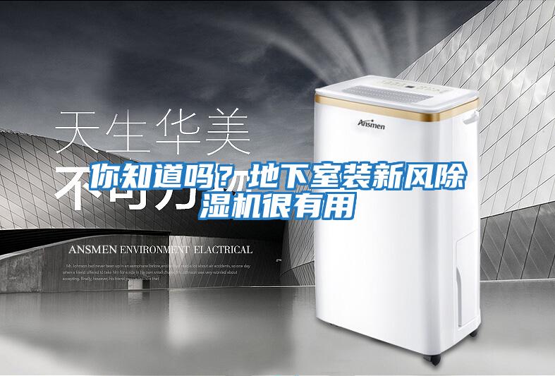 你知道嗎?地下室裝新風除濕機很有用