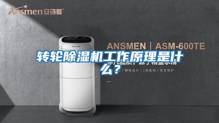 轉輪除濕機工作原理是什么?