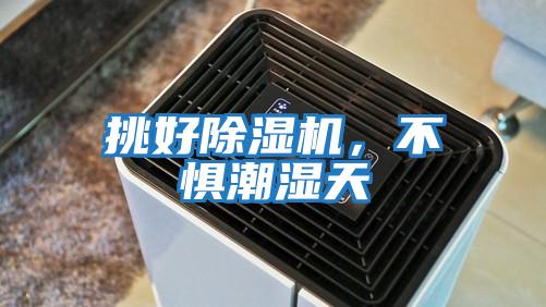 挑好除濕機，不懼潮濕天