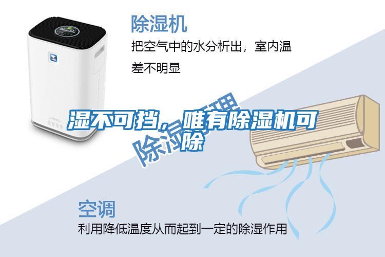濕不可擋，唯有除濕機(jī)可除