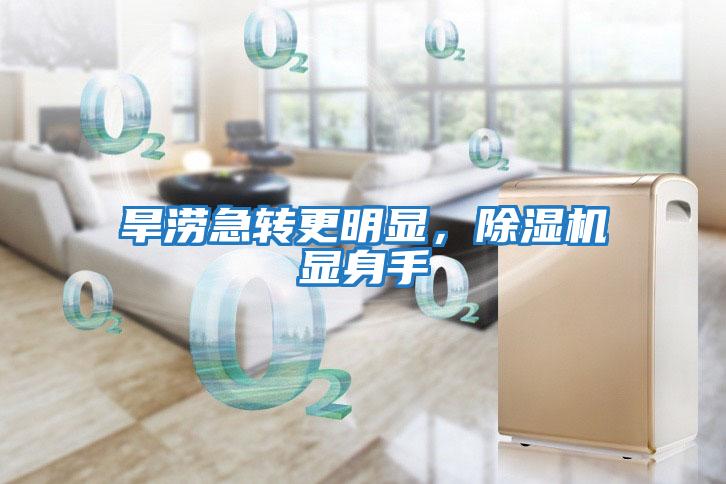 旱澇急轉(zhuǎn)更明顯,除濕機(jī)顯身手