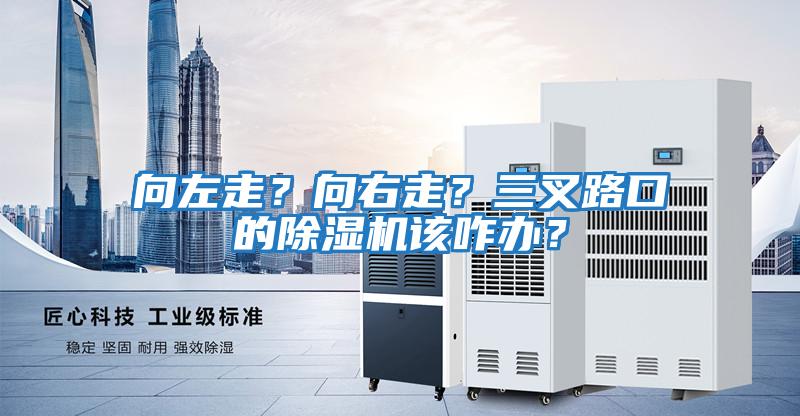 向左走?向右走?三叉路口的除濕機(jī)該咋辦?
