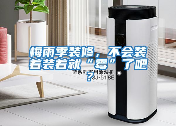 梅雨季裝修，不會裝著裝著就“霉”了吧？