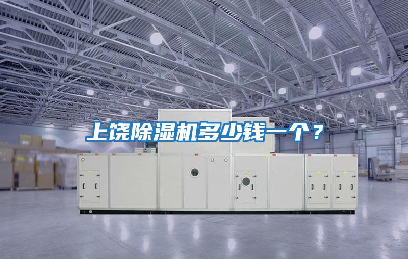 上饒除濕機(jī)多少錢一個(gè)?