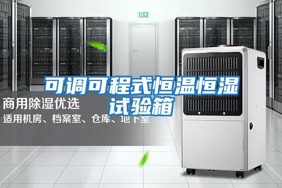 可調可程式恒溫恒濕試驗箱