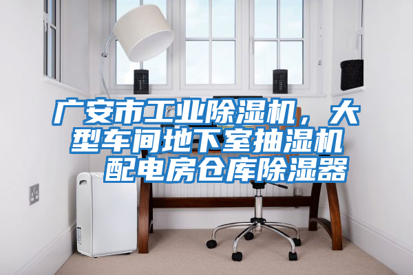 廣安市工業(yè)除濕機(jī),大型車(chē)間地下室抽濕機(jī) 配電房倉(cāng)庫(kù)除濕器