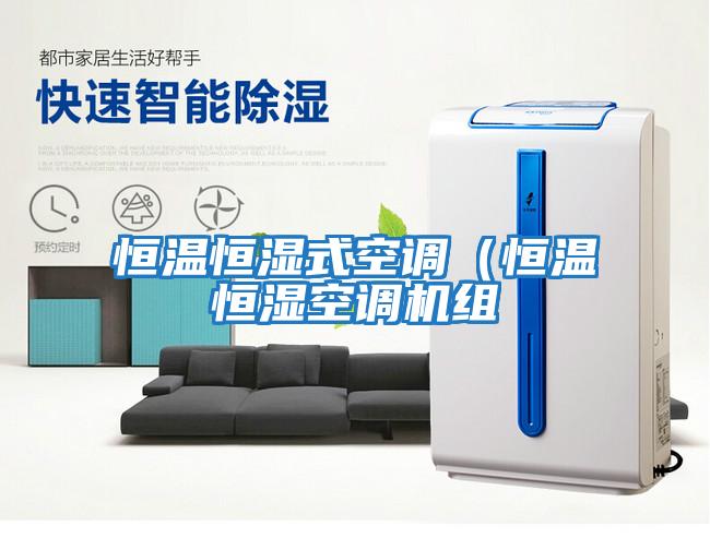 恒溫恒濕式空調(diào)(恒溫恒濕空調(diào)機組