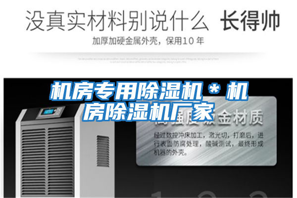 機(jī)房專(zhuān)用除濕機(jī)＊機(jī)房除濕機(jī)廠家