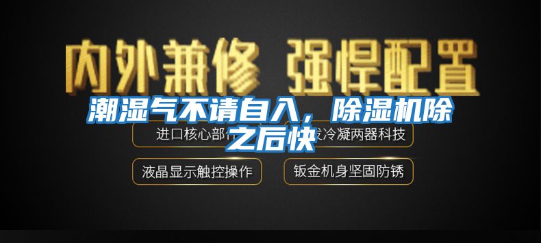 潮濕氣不請(qǐng)自入,除濕機(jī)除之后快