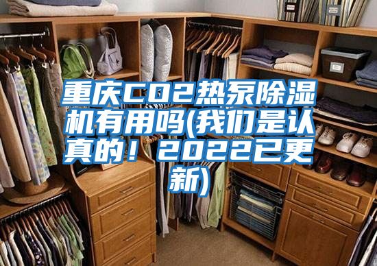 重慶CO2熱泵除濕機有用嗎(我們是認真的!2022已更新)