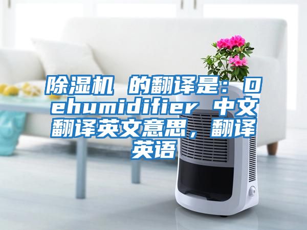除濕機 的翻譯是:Dehumidifier 中文翻譯英文意思,翻譯英語