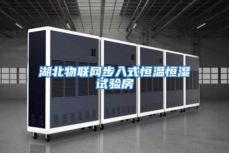 湖北物聯網步入式恒溫恒濕試驗房