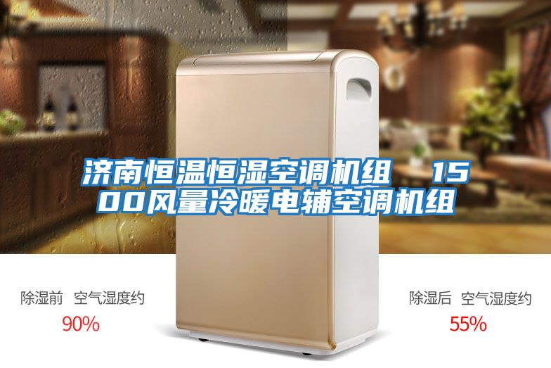 濟南恒溫恒濕空調機組 1500風量冷暖電輔空調機組