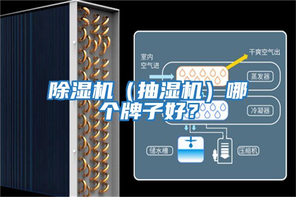 除濕機(jī)(抽濕機(jī))哪個(gè)牌子好?
