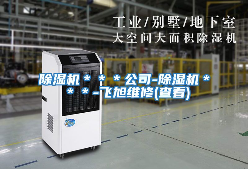 除濕機(jī)***公司-除濕機(jī)***-飛旭維修(查看)
