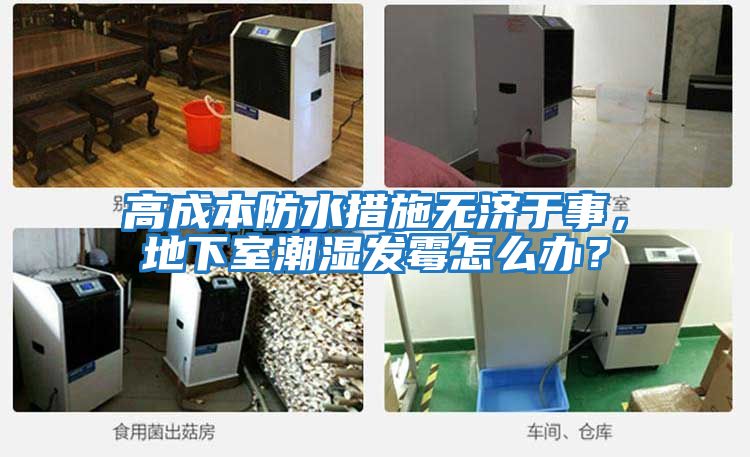 高成本防水措施無濟(jì)于事,地下室潮濕發(fā)霉怎么辦?