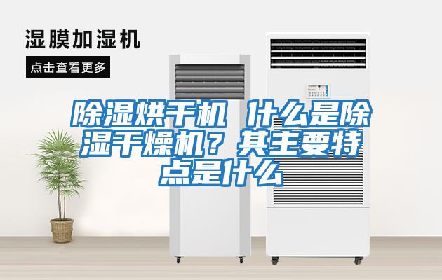 除濕烘干機 什么是除濕干燥機?其主要特點是什么