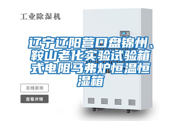 遼寧遼陽營口盤錦州、鞍山老化實驗試驗箱式電阻馬弗爐恒溫恒濕箱