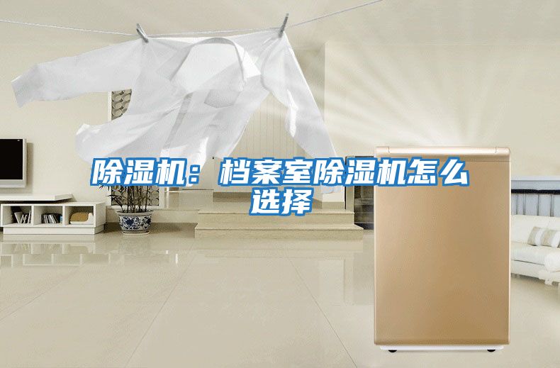 除濕機:檔案室除濕機怎么選擇