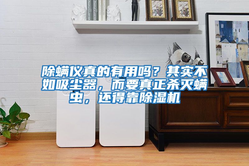 除螨儀真的有用嗎?其實(shí)不如吸塵器,而要真正殺滅螨蟲,還得靠除濕機(jī)